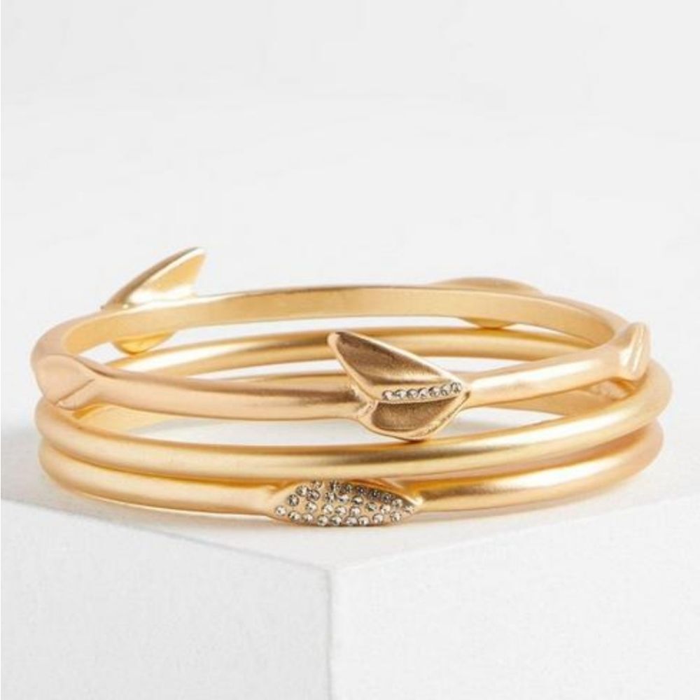 Torrid Bangle with Charm Set